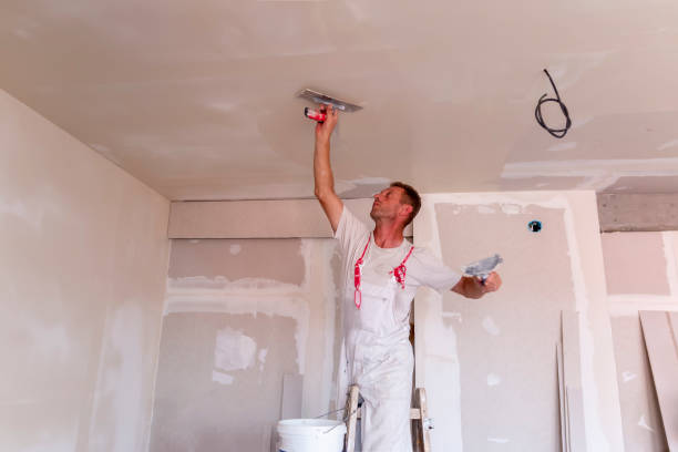 Best Drywall Installation  in Loyalhanna, PA